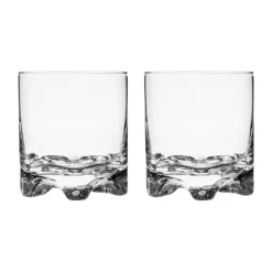 Grogilasi 28cl 2kpl|IITTALA New