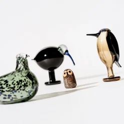 Ibis 205x165mm|IITTALA Outlet