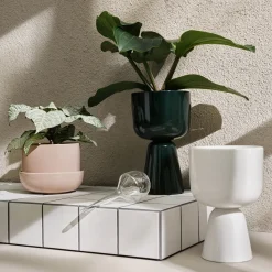 kastelupullo 2set|IITTALA Discount