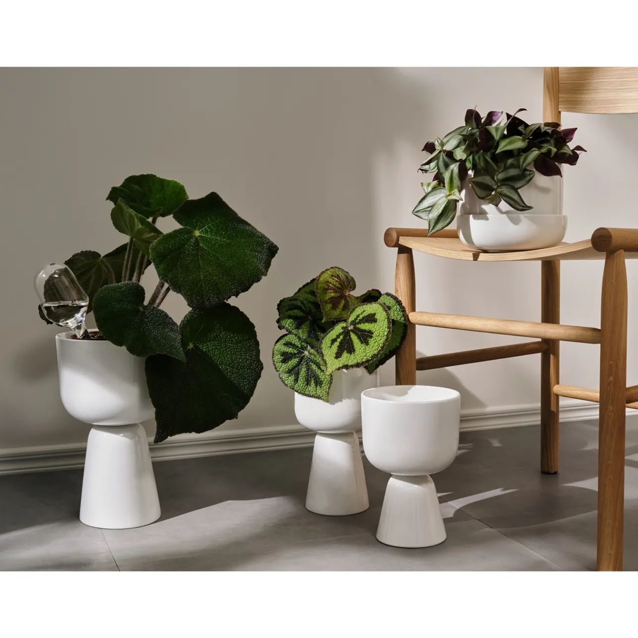 kastelupullo 2set|IITTALA Discount