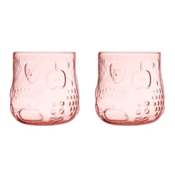 Juomalasi 25cl 2kpl|IITTALA Best