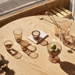 Juomalasi 21cl 2kpl|IITTALA Outlet