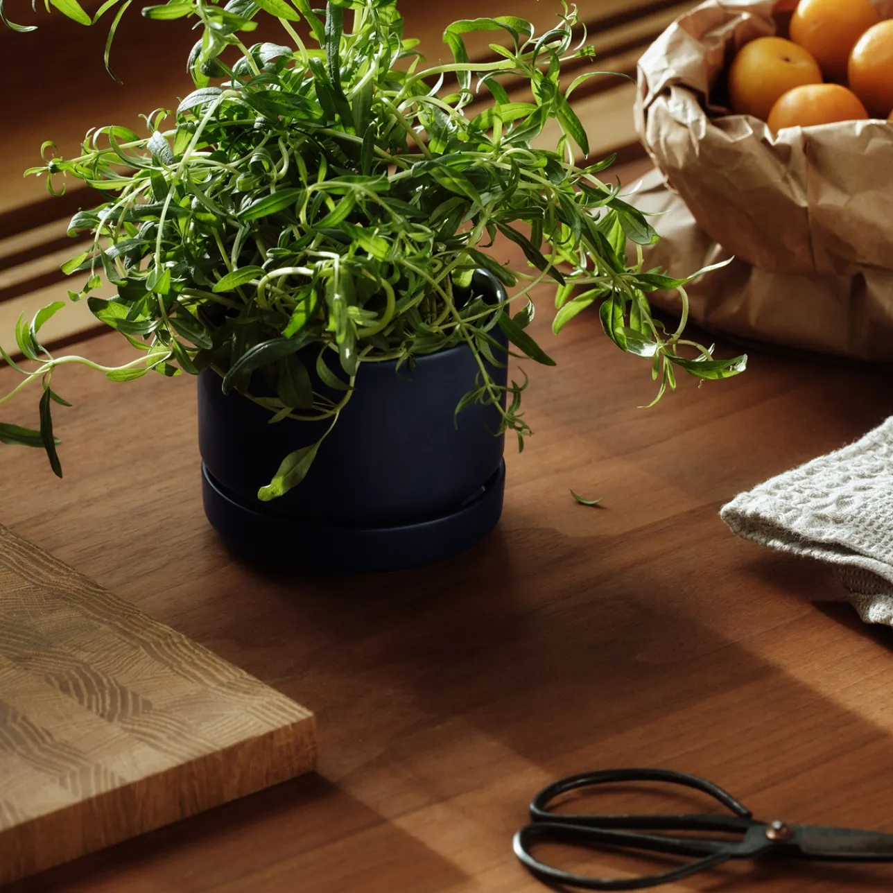 Kukkaruukku SN 11cm matta sininen|IITTALA Online