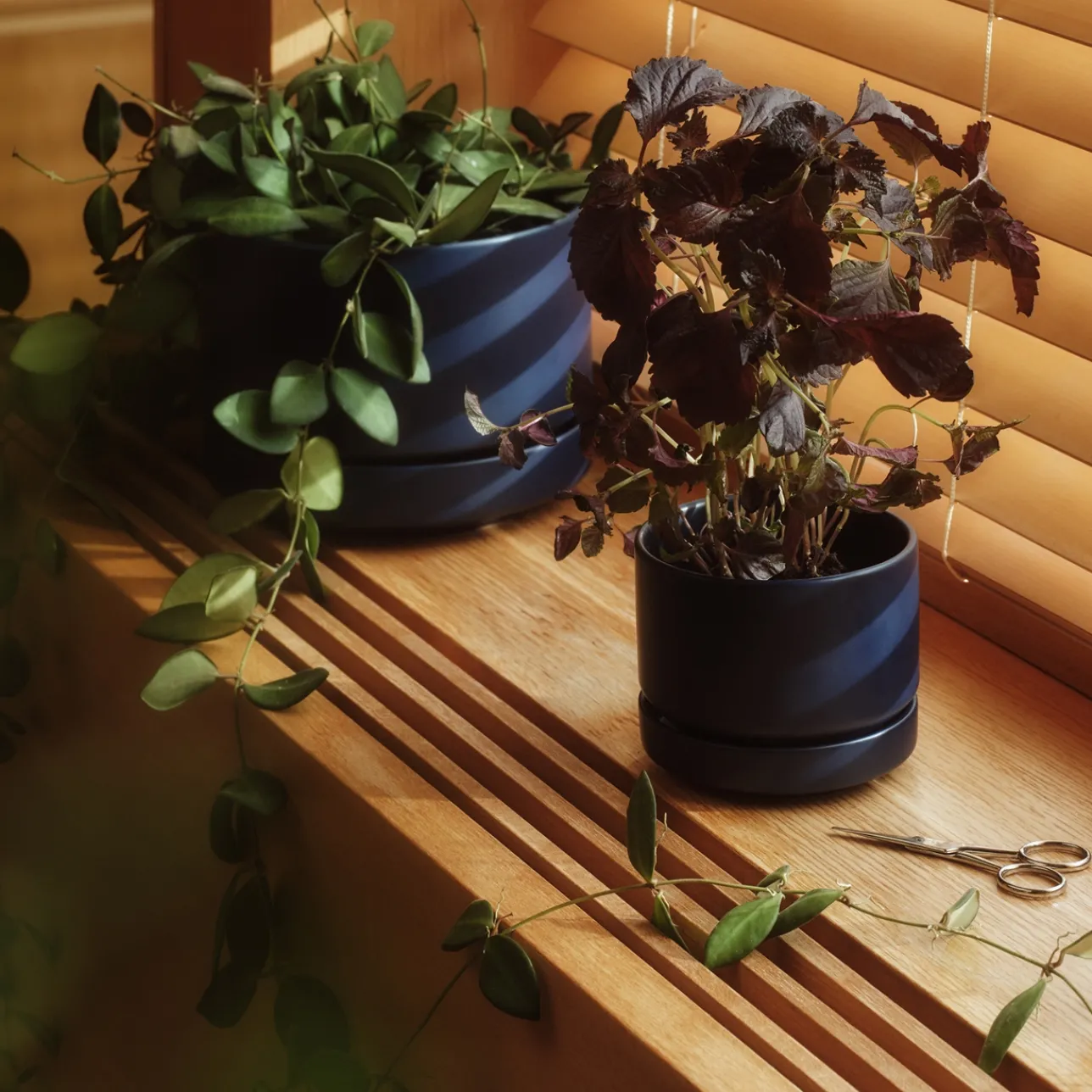 Kukkaruukku SN 19cm matta sininen|IITTALA Online