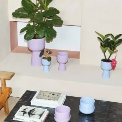 Kukkaruukku jalallinen L|IITTALA Clearance