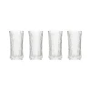 Kuohuviinilasi 4kpl|IITTALA Hot