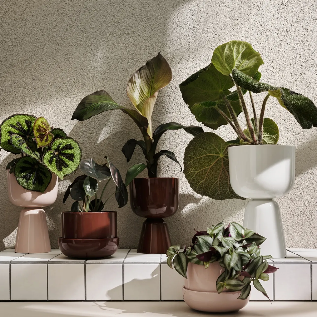 Ruukku jalallinen S korkea|IITTALA Sale