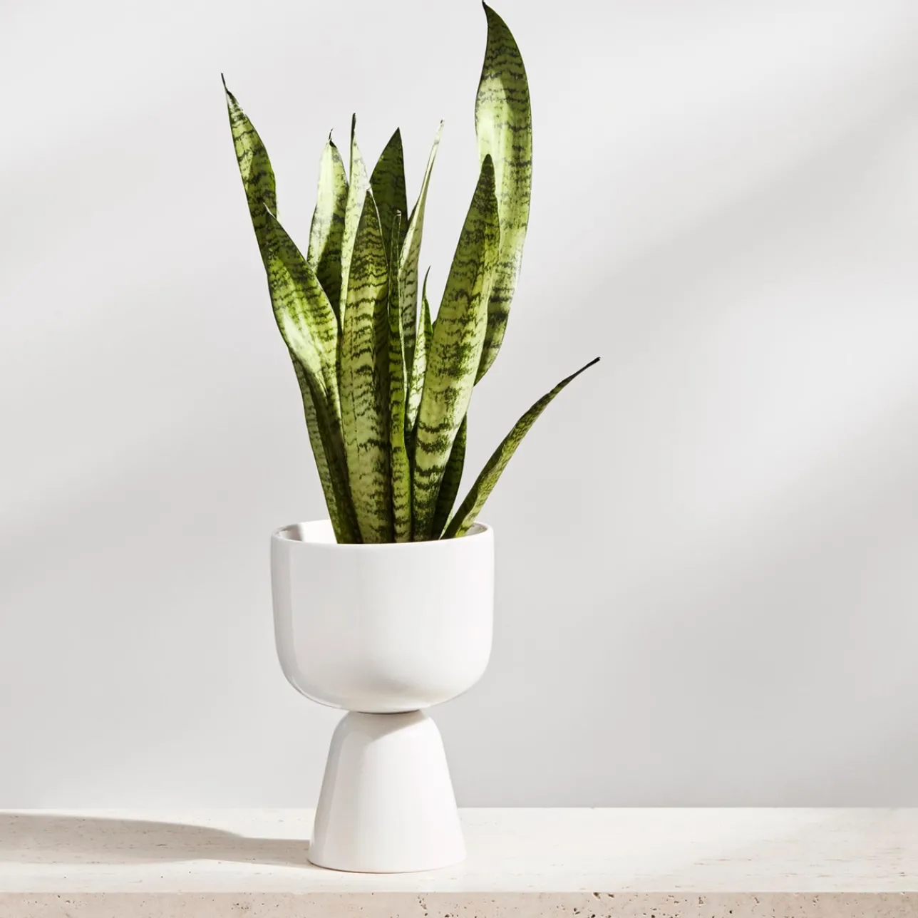 Ruukku jalallinen S|IITTALA Best