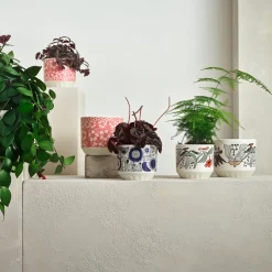 Ruukku 100x120mm|IITTALA Hot