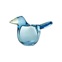 Sieppo 95x60mm taivaansininen-omenanvihreä|IITTALA Discount