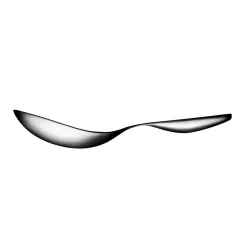 Tarjoilulusikka|IITTALA Sale