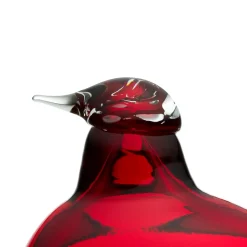 Tirri|IITTALA Hot
