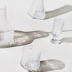 Valkoviinilasi 16cl 2kpl|IITTALA Outlet