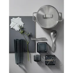 Voiveitsi|IITTALA Online