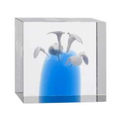 Vuosikuutio 85x80mm 2024|IITTALA